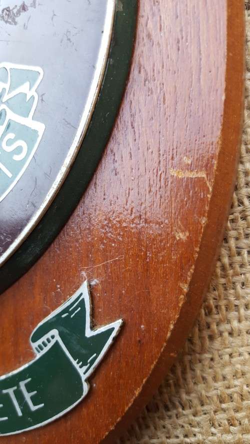 very scarce Rhodesian bushwar era original Selous Scouts period plaque - in great condition