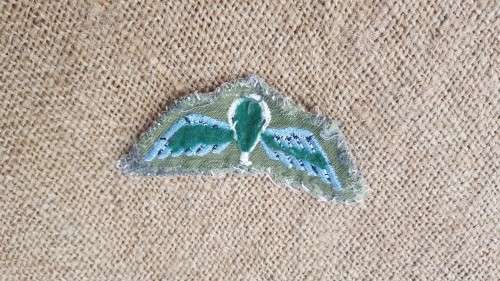 original (removed from camo shirt) Rhodesian field-dress para wing - used condition