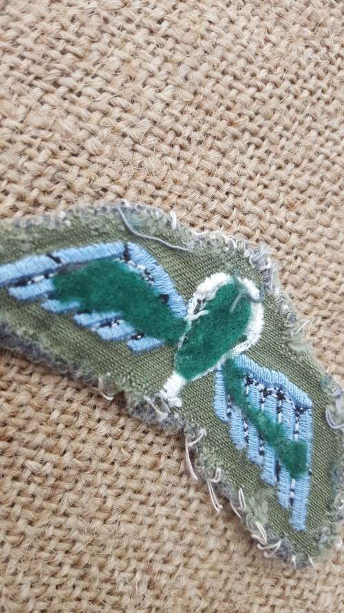 original (removed from camo shirt) Rhodesian field-dress para wing - used condition