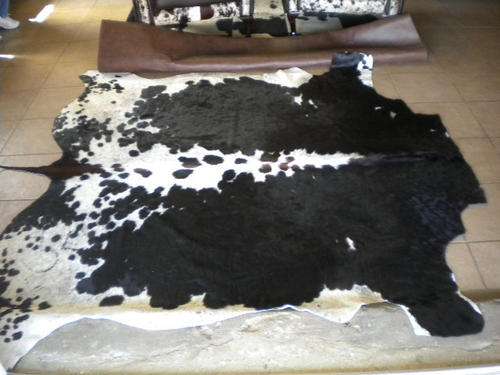 Tri-Colour Nguni Hide (199)