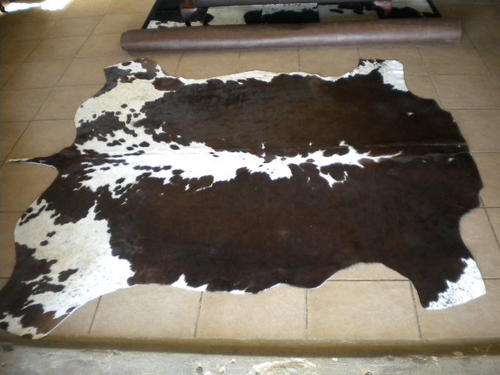 Tri-Colour Nguni Hide (206)