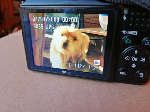 *****NIKON COOLPIX L100 DIGITAL CAMERA***