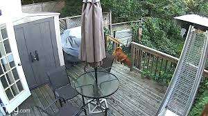 **THIS IS A MUST HAVE***CRAZY SPECIAL*FREE FREIGHT*BRAND NEW RING SMART WIFI CAM, MONITOR VIA PHONE*