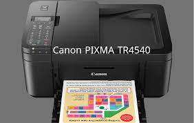 *LIKE NEW Canon PIXMA TR4540 A4 4-in-1 Wi-Fi Inkjet Printer WITH INK AND CABLES*R2000 RETAIL**
