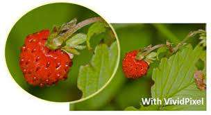 *HERITAGE WEEK DEAL*BRAND NEW ASUS VP249H 23.8` LED FULL HD 1080 FLAT SCREEN IN BOX*R3600 RETAIL**