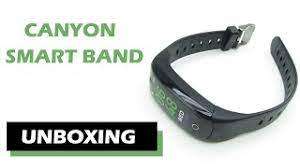 *LAST LOT LEFT**BUY 1 GET 1 FREE**BRAND NEW CANYON FITNESS SMART BAND IN BOX*R500 RETAIL EACH**