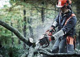 *PRE BLACK FRIDAY SPECIAL*TANDEM 55CC CHAINSAW WITH CHAIN/BAR IN BOX,TOOLS