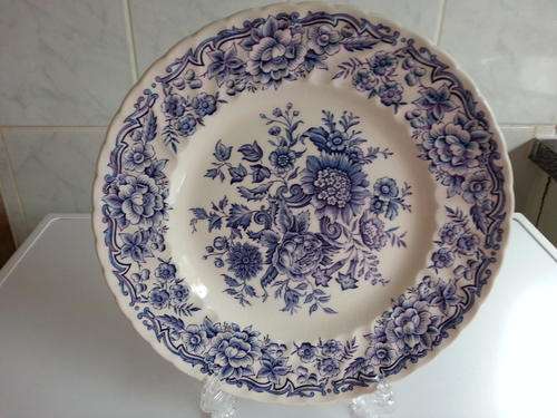 STAFFORDSHIRE "IRONSTONE" PLATE