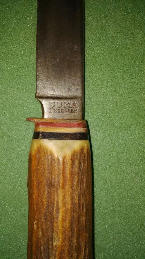 Antique Puma Scout Dagger/Knife Fixed Blade With Stag Handle Made In Germany, Solingen