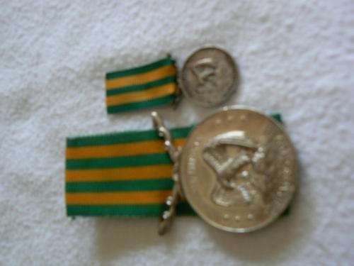 Danie Theron Medal plus miniature