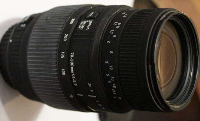 Sigma 70-300 mm lens