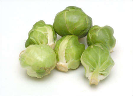 Brussel Sprouts - Evesham - Brassica Oleracea Gemmifera - 100 Seeds - Unequalled Taste - Vegetable