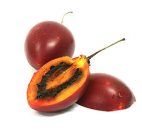 Tamarillo - Cyphomandra Betacea - Exotic South American Fruit - 5 Seeds