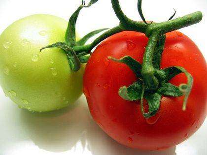 Floradade Tomato - Lycopersicon Esculentum - 25 Seeds - Vegetable