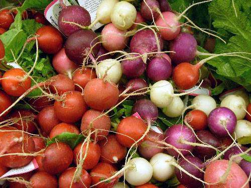 Easter Egg Radish - Raphanus Sativus - 100 Seeds - Unique Vegetable