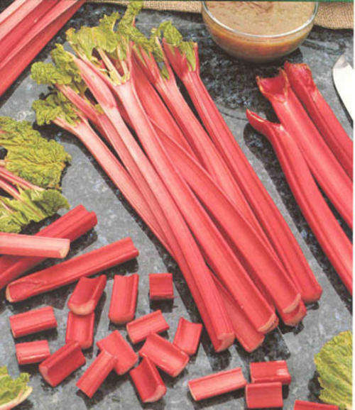 Victoria Rhubarb - Seeds - Rheum Rhabarbarum - Vegetable - 10 Seeds