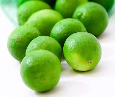 Key Lime - Citrus Aurantifolia - Fruit Tree - 5 Seed Pack