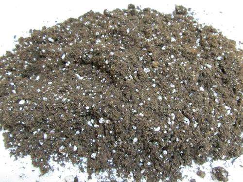 Seed Starting Mix - Sungro Sunshine Growers Mix #1 - 1 Litre - SFAGR