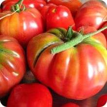Brandywine Red Tomato - Lycopersicon Esculentum - Heirloom Tomato - 10 Seeds