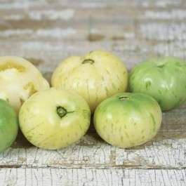 * NEW * White Zebra Tomato - Lycopersicon Esculentum - Vegetables - 5 Seeds - Heirloom Organic