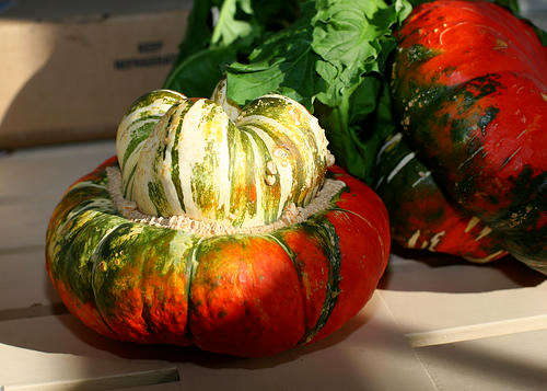 Turks Turban Pumpkin - Heirloom Vegetable - 5 Seeds