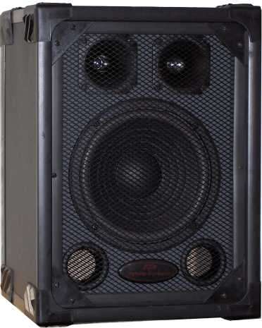 Infinity Dynamic 10 inch 120 watt Hi-Fi Vinyl