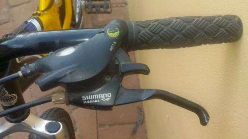 Raleigh M-trax Platinum Series Mountain Bike