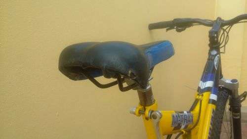 Raleigh M-trax Platinum Series Mountain Bike