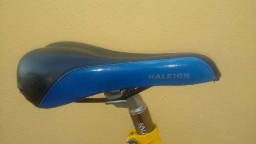 Raleigh M-trax Platinum Series Mountain Bike