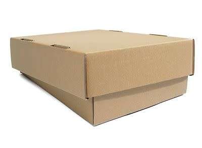 CARDBOARD BOX WITH LID H=120 L=525 W=330 ( 10 DAYS )