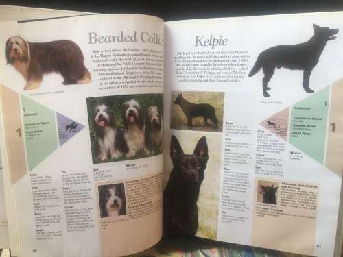 THE ROYAL CANIN DOG ENCYCLOPEDIA, R75