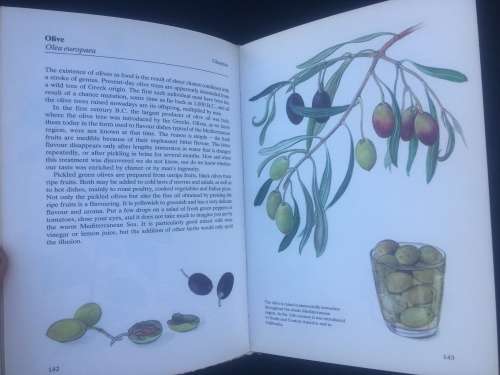 HERBS AND SPICES, HAMLYN COLOUR GUIDES, R55.