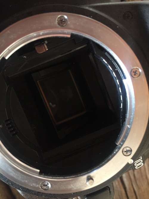 Nikon D3100 (Body + Lens)