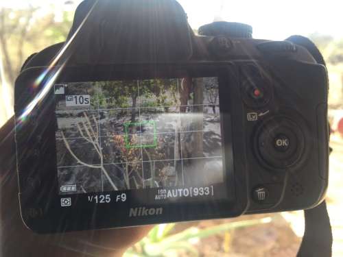 Nikon D3100 (Body + Lens)