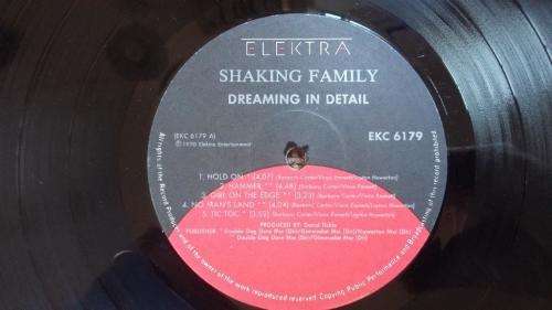 Shaking Family - Dreaming in Detail - Vinyl LP record - Elektra Records - 1990 - EX