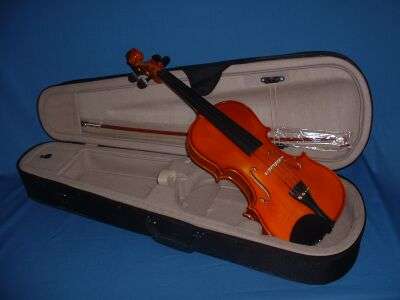 Professional Palatino Violin 4/4size  - Brand new