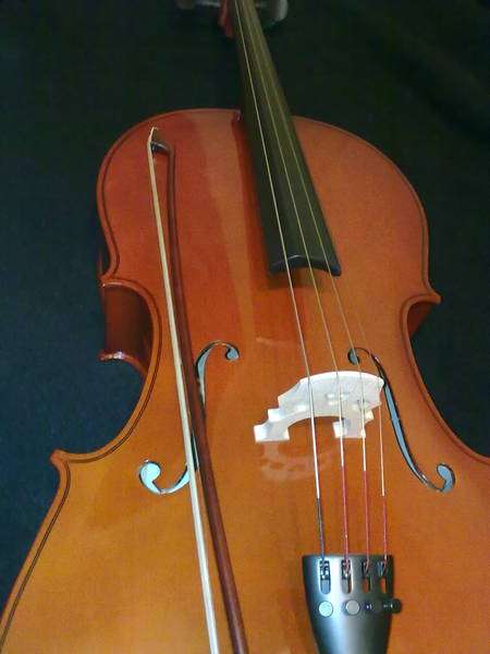 Lily Cello 4/4 size  - Brand new. Our Best seller item.