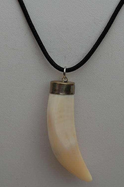 AFRICAN LIONS TOOTH PENDANT
