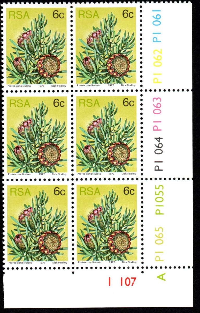 RSA 3rd Definitive issue 6c Control Blocks Pane A