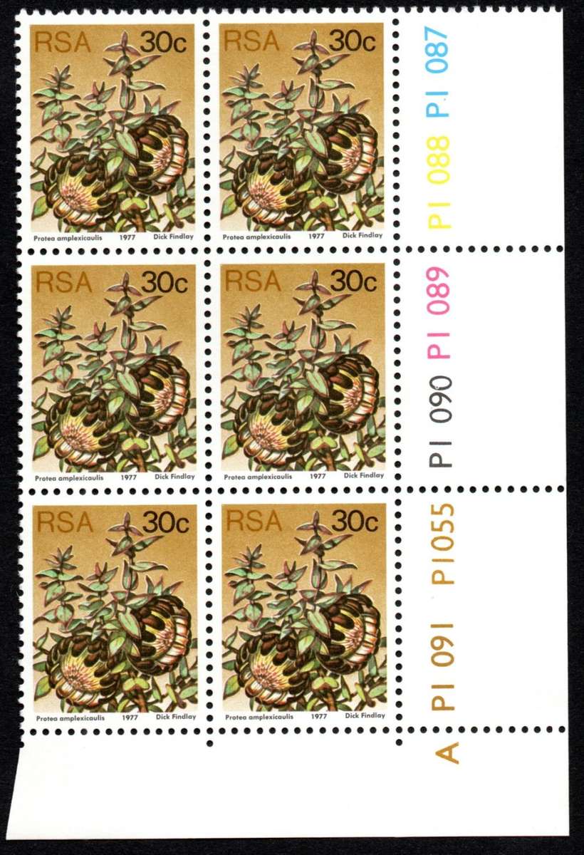 RSA 3rd Definitive issue 30c Control Blocks Pane A