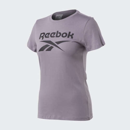 REEBOK Women`s TE Graphic Tee Stack Logo Gravity Grey EW3486 - Size XL