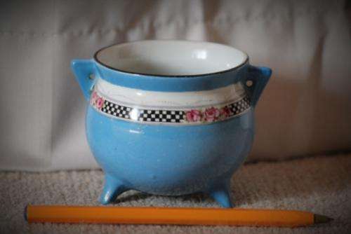 Pretty Blue Rose vase