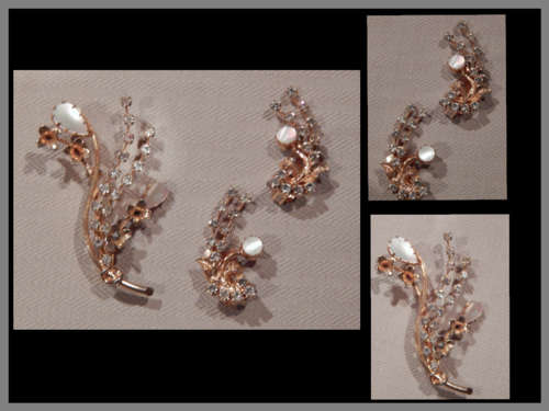 Gorgeous Brooch & Earring set