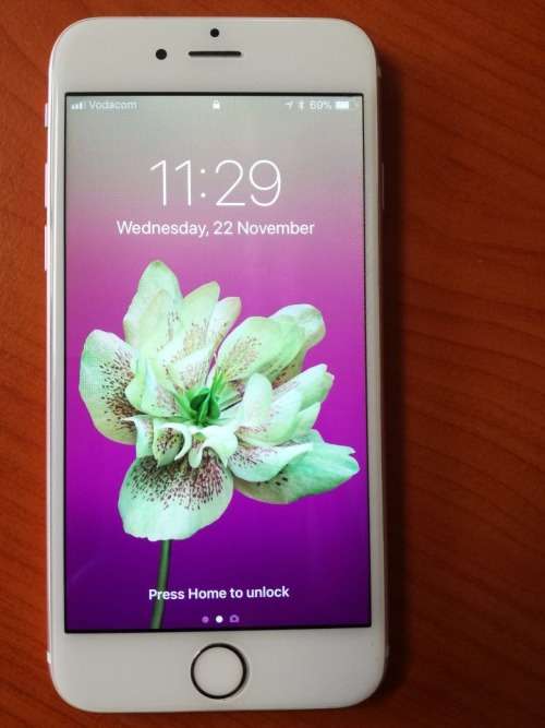 Iphone 6s in Rosegold