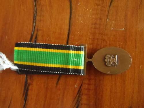 APLA Gold Service Medal Miniature