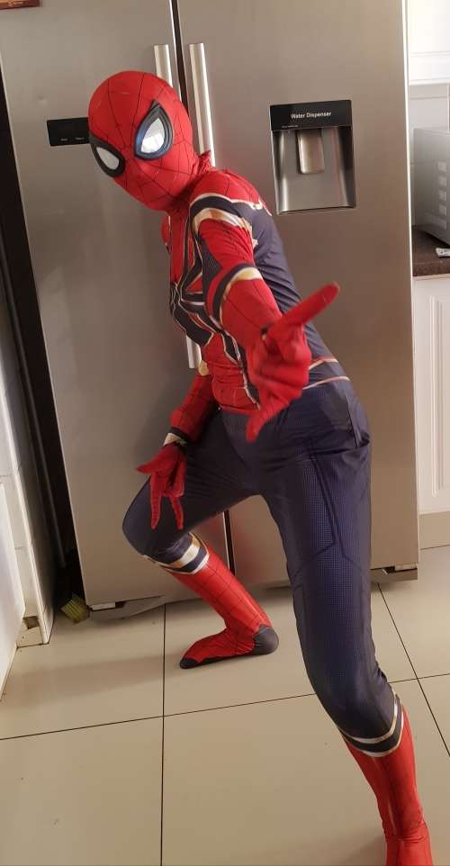Spiderman Costume (new series)