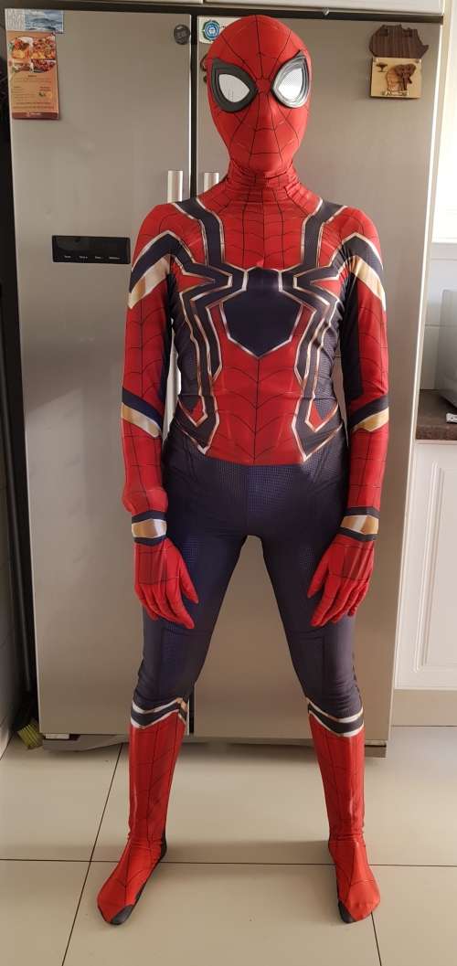 Spiderman Costume (new series)