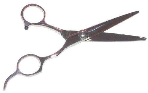 Professional Sharp high-end  Stainless Steel Shears