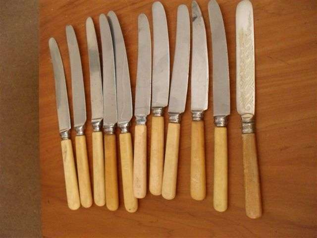 VINTAGE..... 11 VARIOUS BONE HANDLE KNIVES