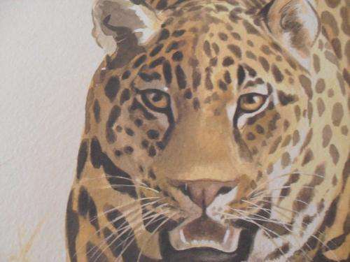 3 X  INGRID WEIERSBYE WILDLIFE PRINTS (1984)...SEE CONDITION